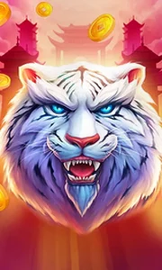 Luck of Tiger